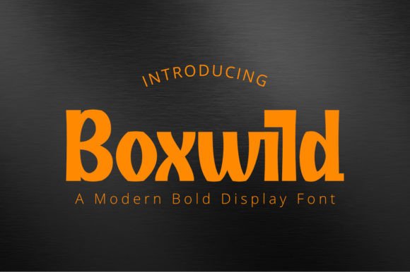 Boxwild: The Bold Display Typeface for Standout Branding