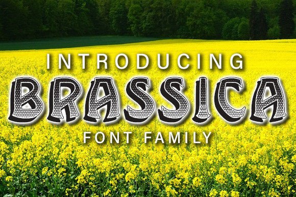 Brassica: The Display Typeface That Elevates Every Campaign
