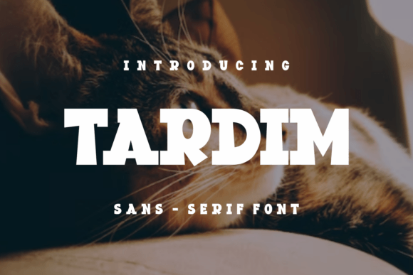 Tardim: The Bold Display Font That Redefines Brand Identity