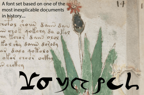 Voynich - Hollow: A Designer's Real-World Review